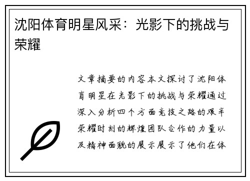 沈阳体育明星风采：光影下的挑战与荣耀